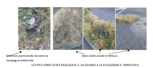 Stato dei parchi pubblici e delle aiuole